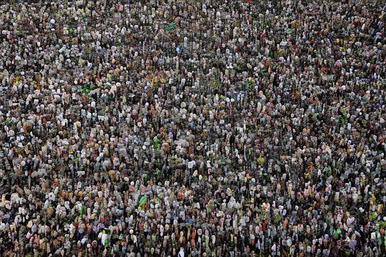 The Role of NGOs in Environmental Protection